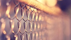 Fences bokeh