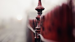 Fences bokeh urban depth of field