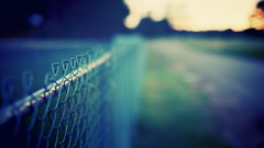 Fences Chain Link Fence depth of field