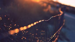 Fences depth of field