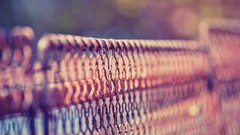 Fences depth of field