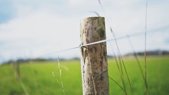 Fences fields
