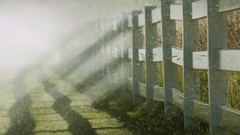 Fences grass fog water