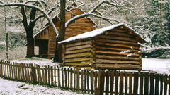 Fences houses rooftops picket