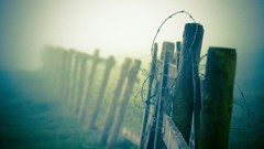 Fences mist