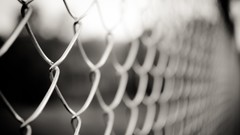 Fences monochrome Chain Link