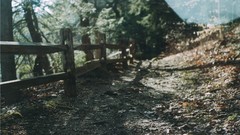 Fences paths minimalistic