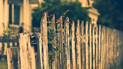 Fences sea shorelines
