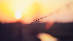 Fences sunlight blurred background depth of field