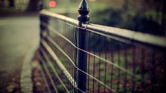 Fences urban