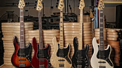 Fender bass guitars guitars