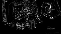 Fender guitars Fender Stratocaster