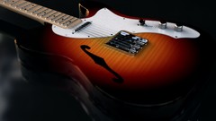 Fender guitars macro electric