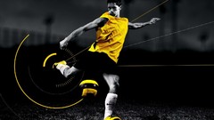 Fernando Torres Celebrity