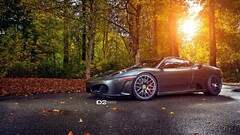 Ferrari Car ferrari f430 vehicle sunlight fall leaves Trees