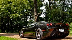 Ferrari Car Trees vehicle black cars ferrari f430