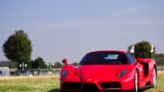 Ferrari enzo red cars