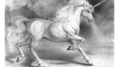Fiction Animals unicorns drawings
