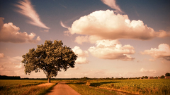 Field awesome clouds nature