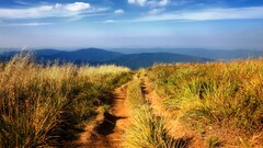 field clouds landscape Mountains grass dirt path far view nature