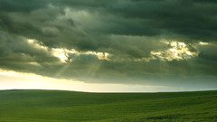 Field clouds sky grass