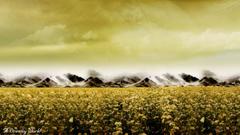 Field dreamy World Art