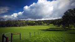 Field landscape Yes wai
