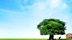 field Trees landscape digital art House outdoors Plants sky