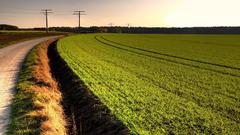 Fields agriculture Landscapes nature