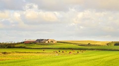 Fields bmw z4 skyscapes