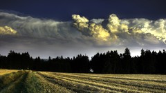 Fields colored Czech Republic
