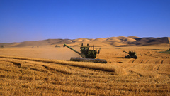 Fields combine harvester farming