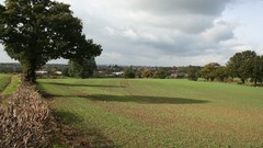 Fields English Oak English Countryside Ripley England