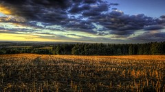 Fields HDR Photography roads