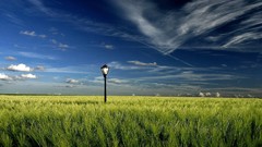 Fields Lamps