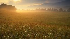 Fields Landscapes nature