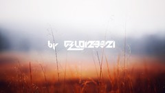 Fields minimalistic Gelo123321