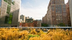 Fields new york city