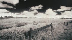 Fields outdoors monochrome farms