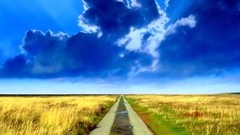 Fields roads skyscapes