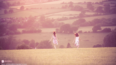 Fields signatures Smashing magazine