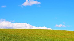 Fields skyscapes