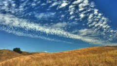 Fields skyscapes