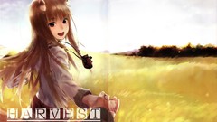 Fields spice and wolf animal ears Holo The Wise Wolf inumimi