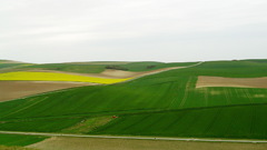 Fields spring Green and