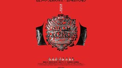 Fight Pride dreams mma