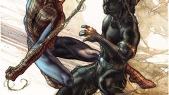 Fight Spider-Man comics superheroes Black Panther comics
