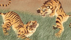 Fight Tigers asians artwork
