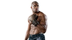 Fighters alistair overeem