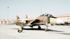 Fighters f-14 tomcat Iranian